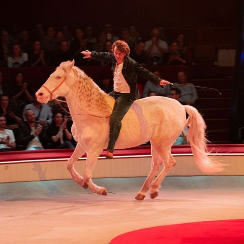 « Sexe, Grog & Rocking Chair » Alex LUTZ