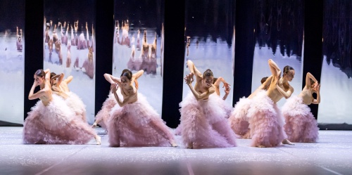 « Casse-Noisette » Europa Danse Company